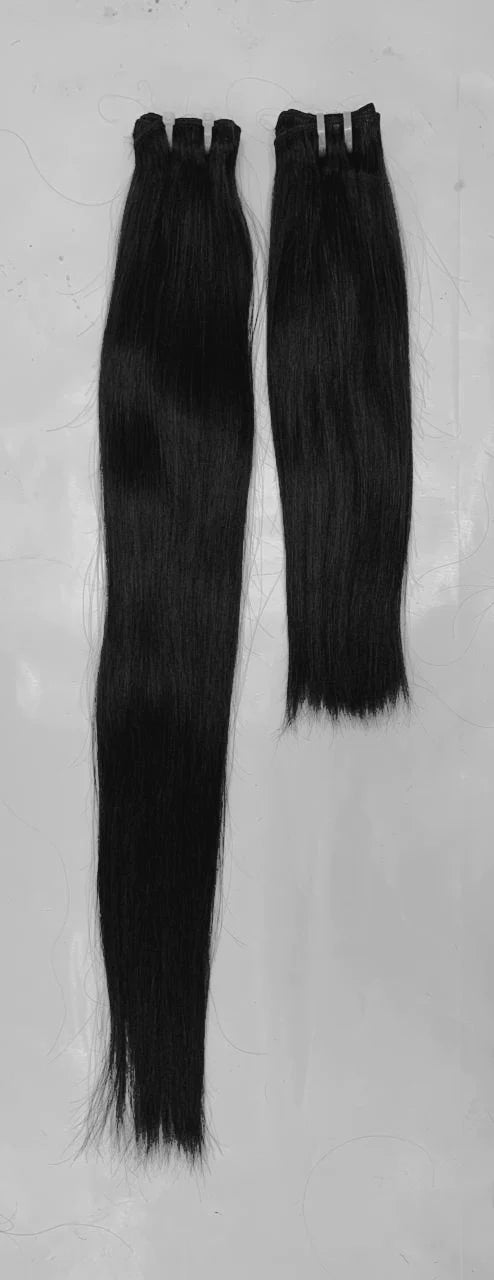 North Indian Raw Hair - Double Drawn Straight